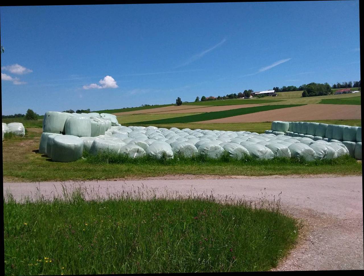 Silageballen Silage Ballen Kaufen Landwirt