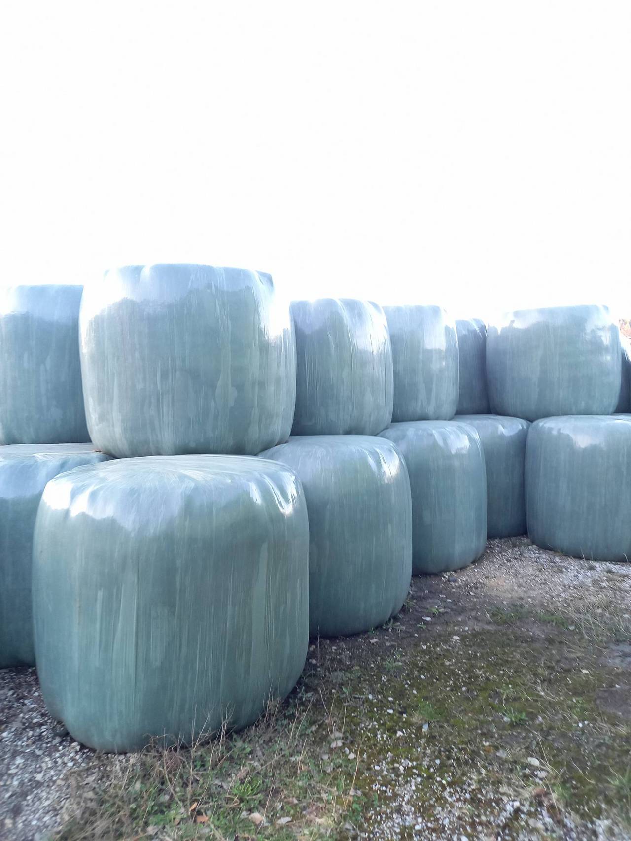 Silageballen Siloballen Kaufen Landwirt