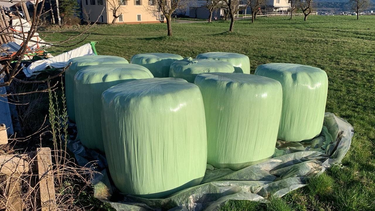 Silageballen Heulage G Rheu Silage Kaufen Landwirt