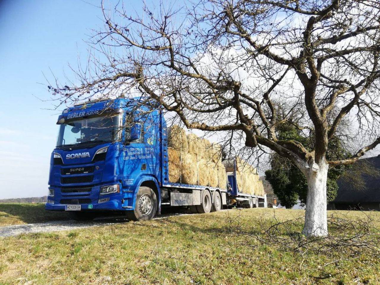 Bio Futterb Rse Heu Luzerne Stroh Transporte Kaufen Landwirt