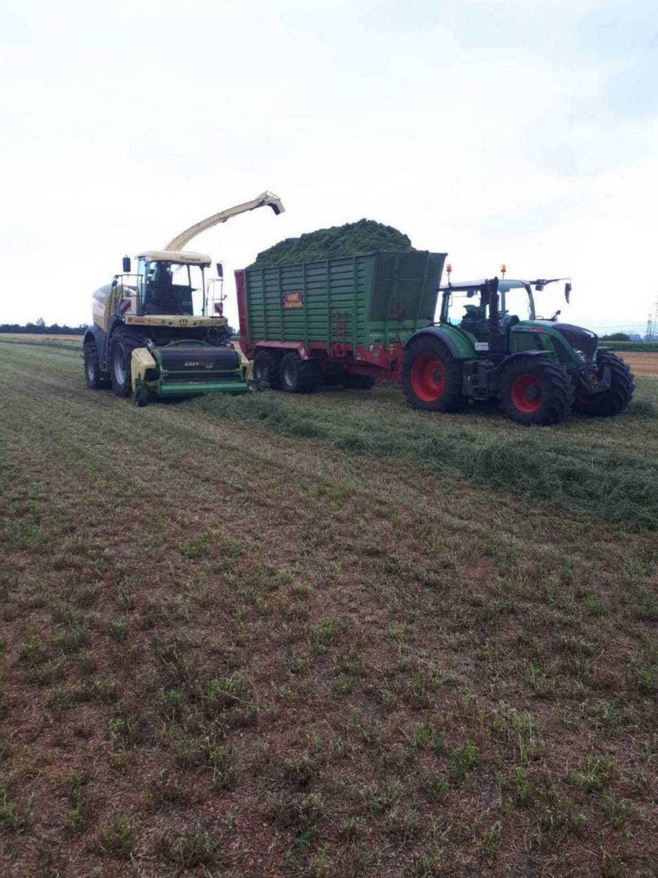 Ganzpflanzensilage Übernehme Gras Mais und GPS Ernte häckseln