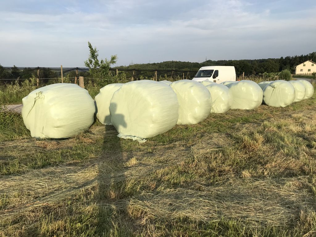 Silageballen Siloballen Kaufen Landwirt