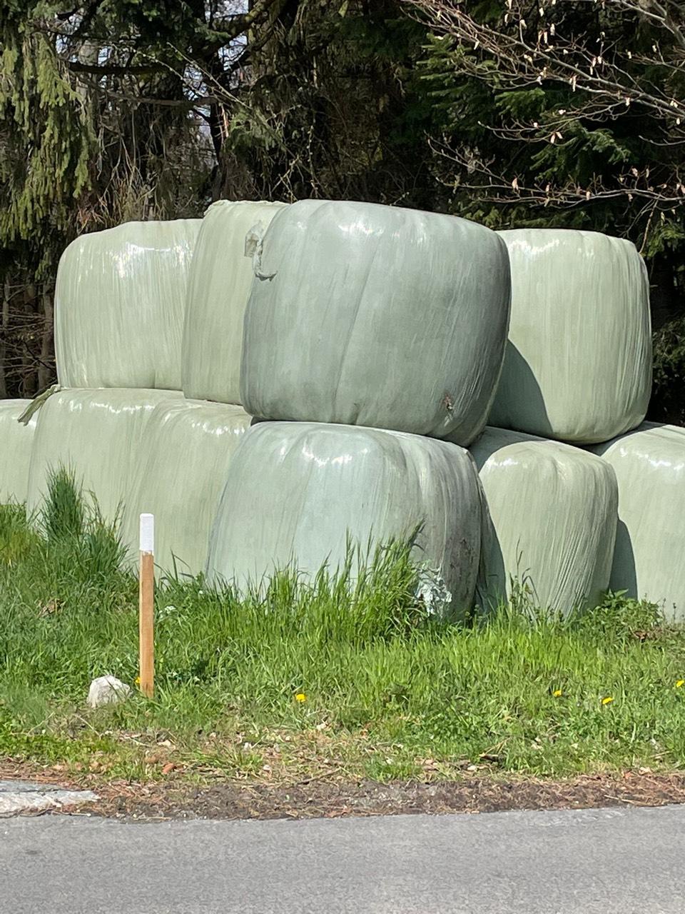 Silageballen Siloballen Kaufen Landwirt