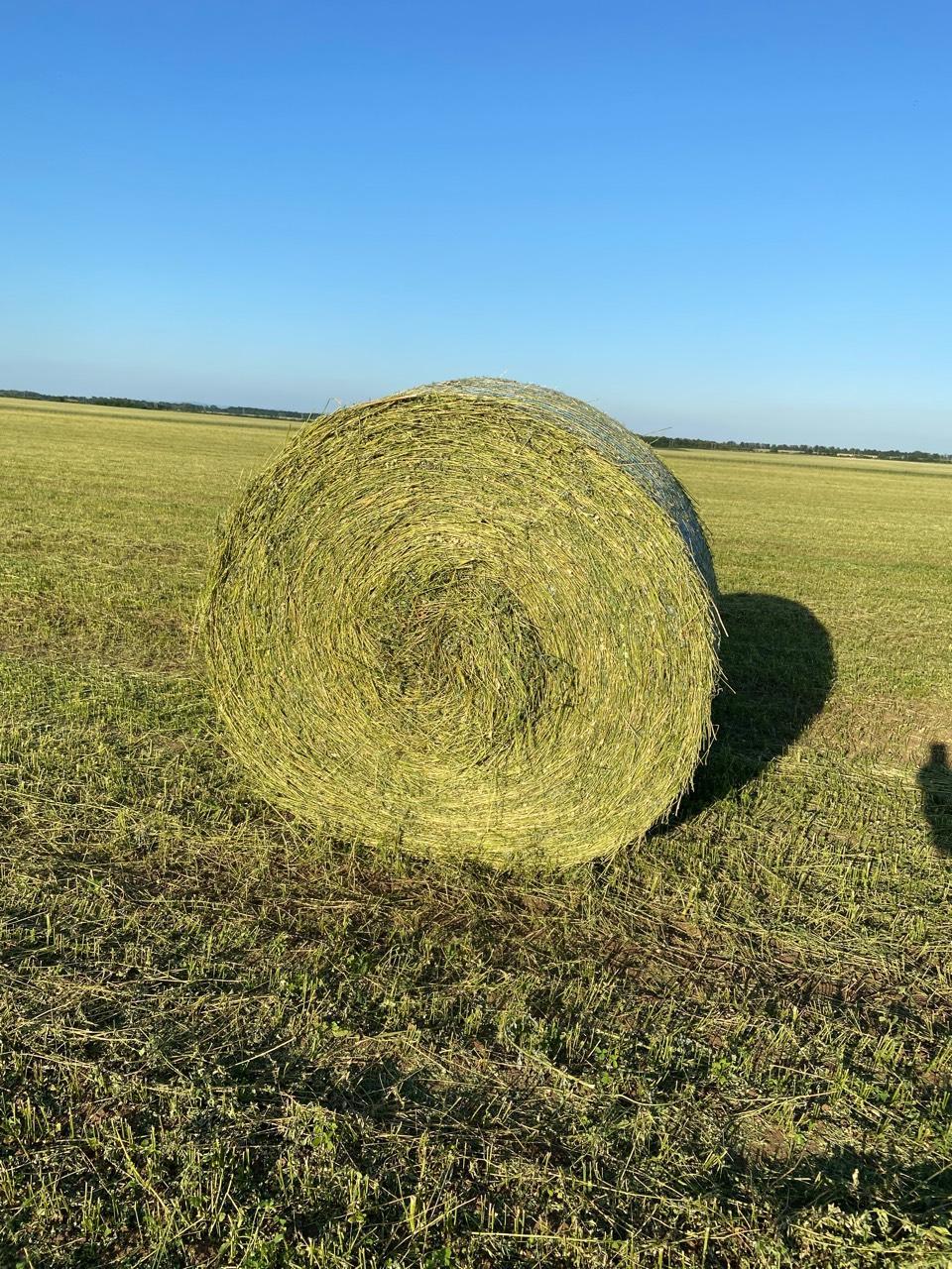 Bio Futterb Rse Heu Rundballen Bio Kaufen Landwirt