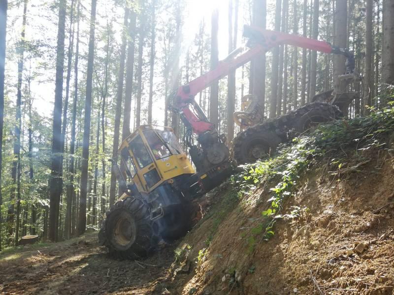 Forstmaschinen Welte W130K Forstschlepper Gebraucht Kaufen Landwirt