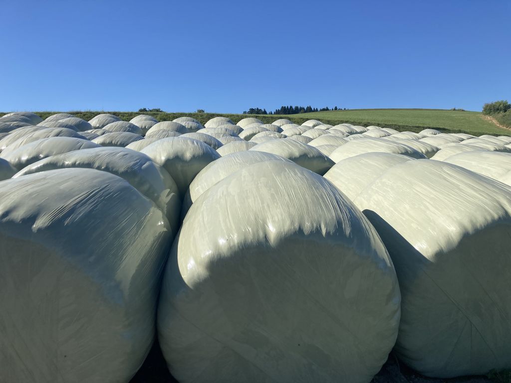 Silageballen Silageballen Heuballen Kaufen Landwirt