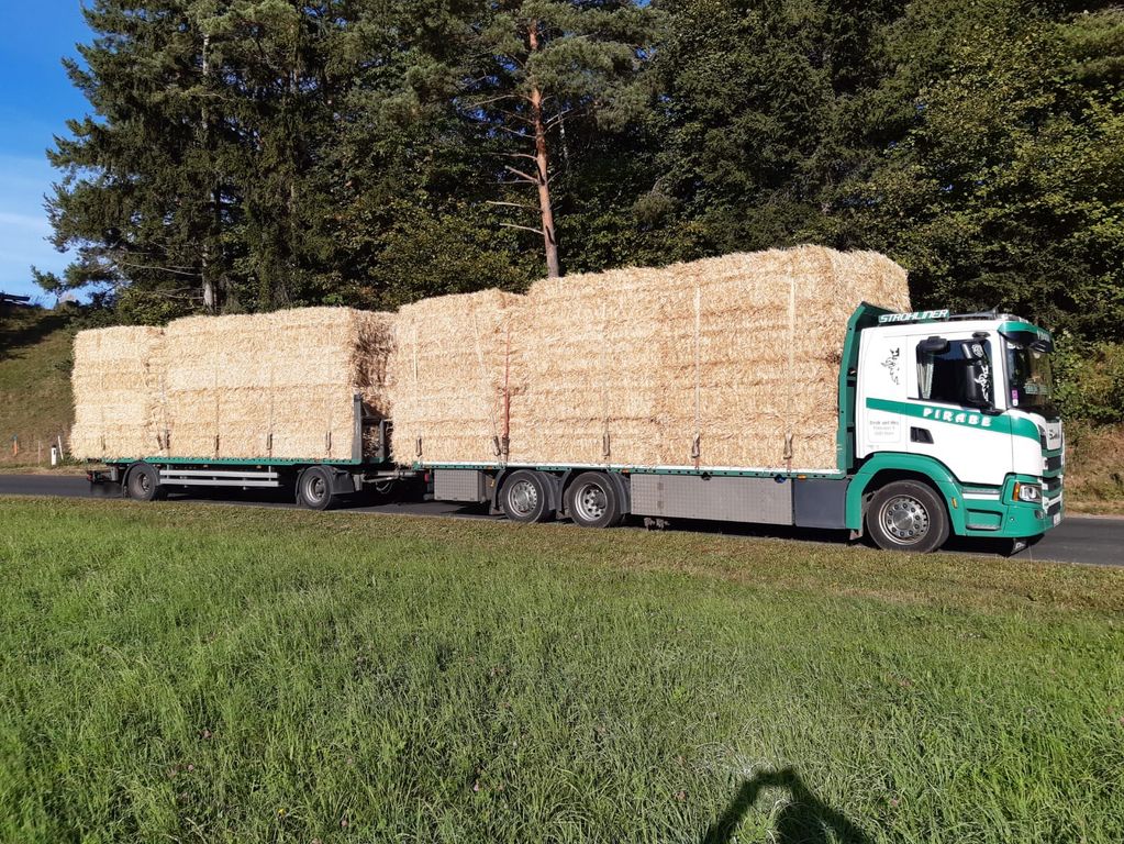 Stroh Stroh Heu Silageballen Maissilageballen Kaufen Landwirt