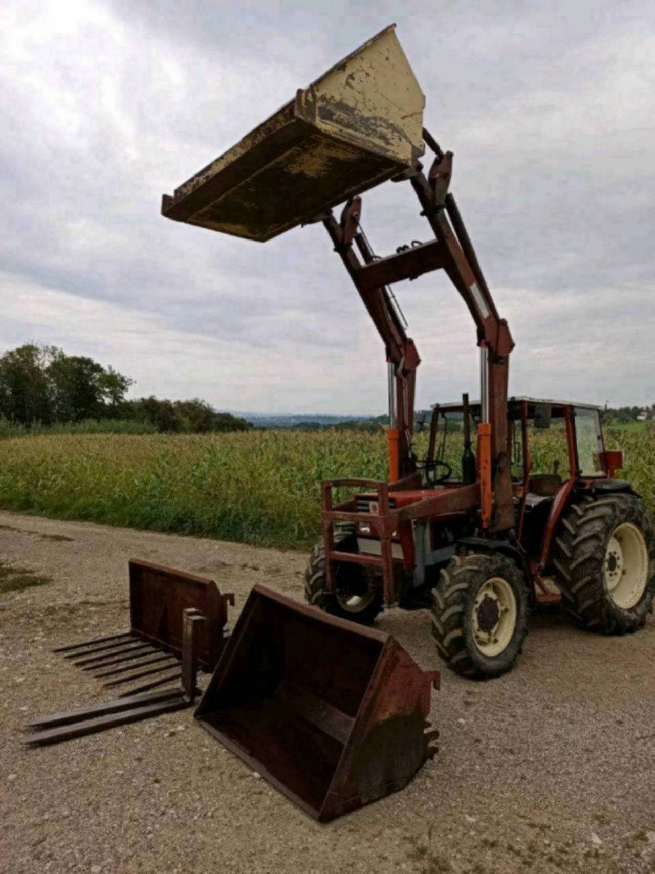 Fiat Fiat 45 66 DT Mit Frontlader Gebraucht Kaufen Landwirt