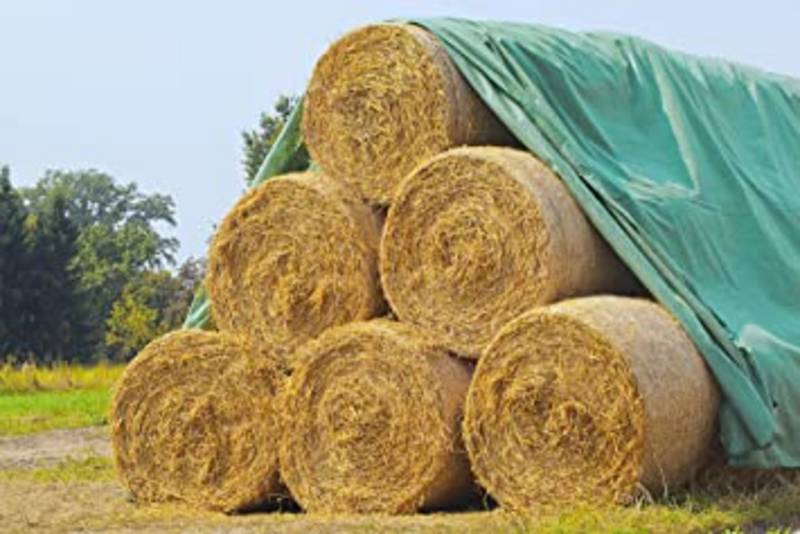 Stroh Strohballen kaufen