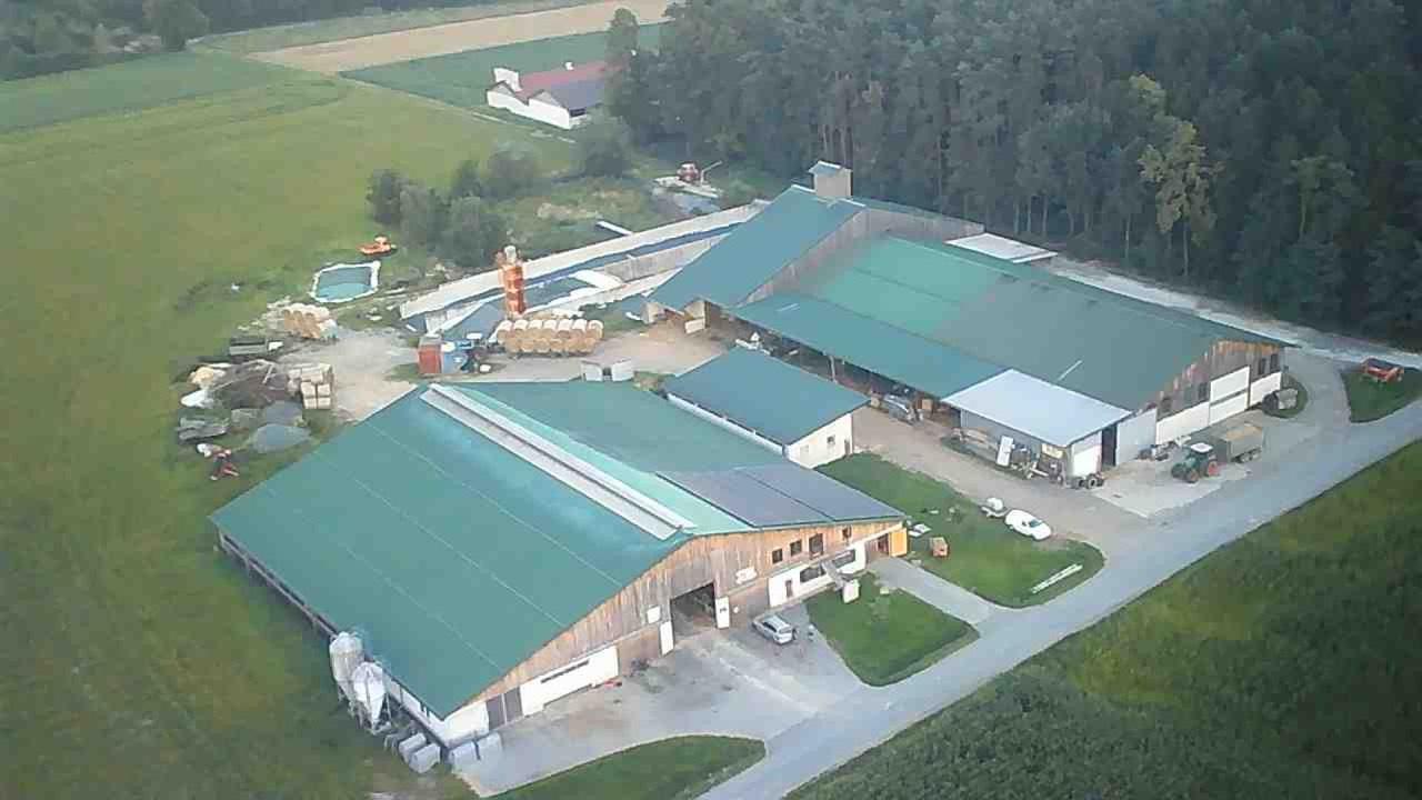 Praktikum auf Milchvieh-/Ackerbaubetrieb im Südburgenland 1