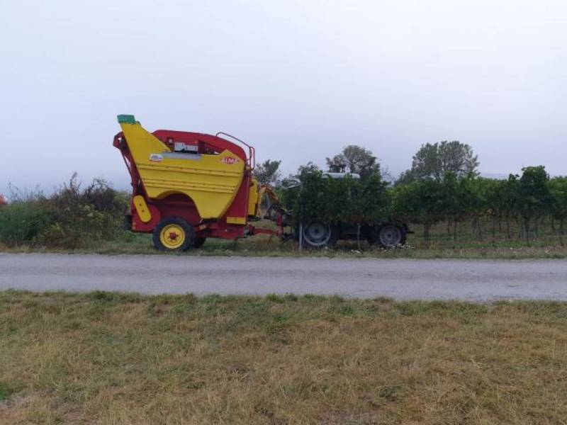 Gezogener Traubenvollernter 2