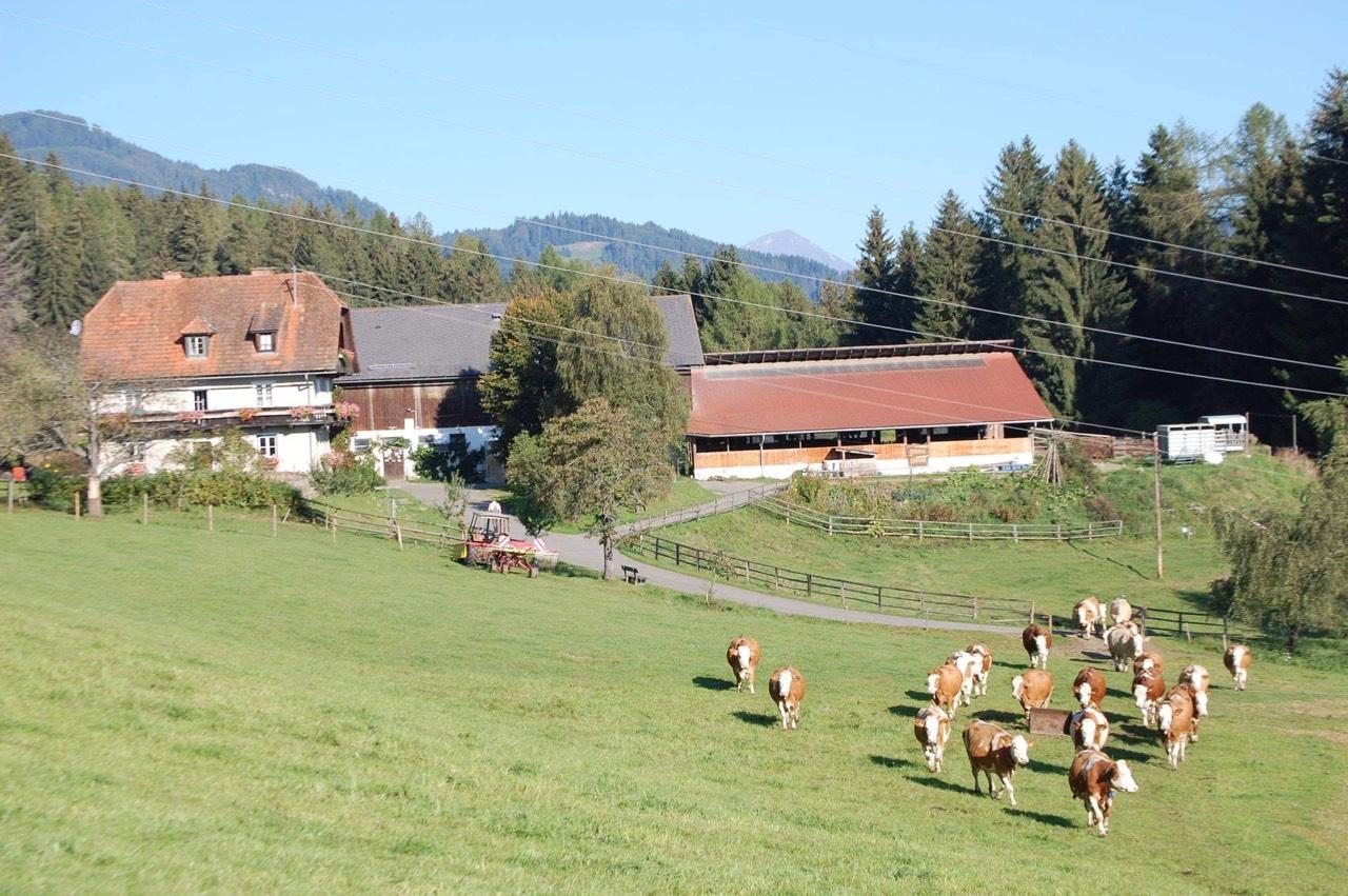 Landwirte online kennenlernen