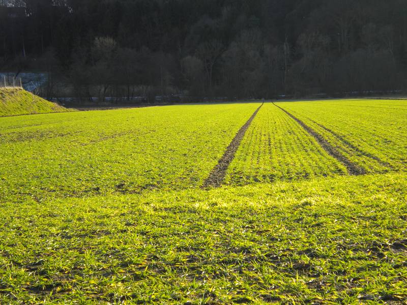 Pacht Suche Pachtflächen kaufen