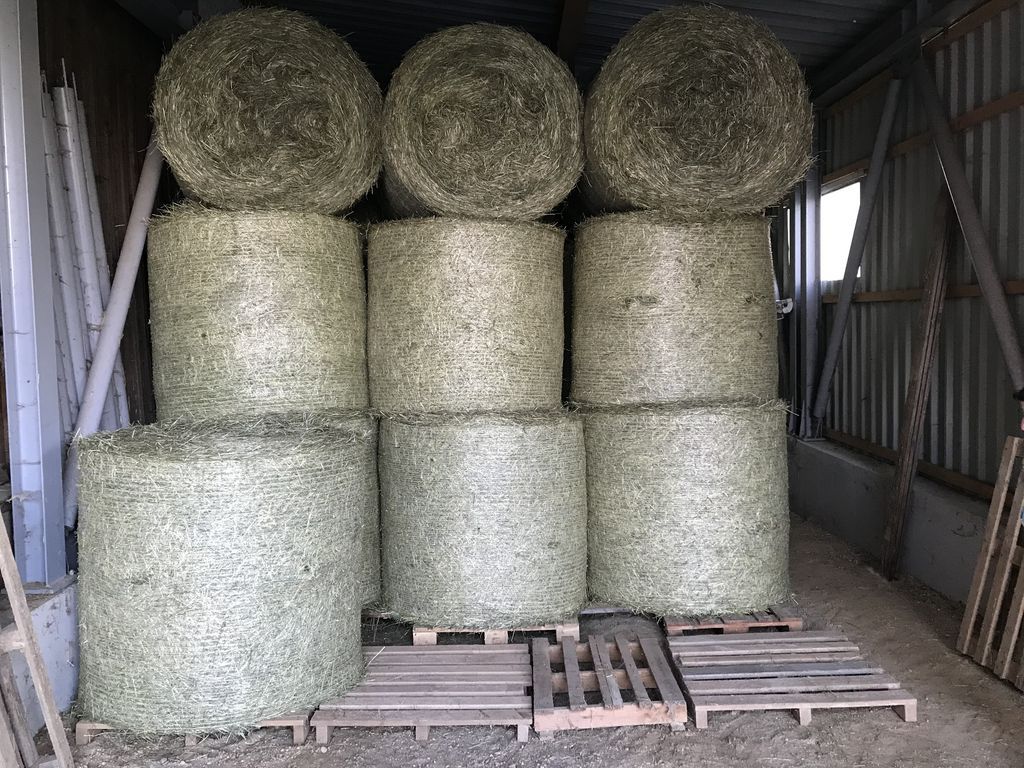 Stroh Stroh Großpacken, Heuballen, Strohballen kaufen