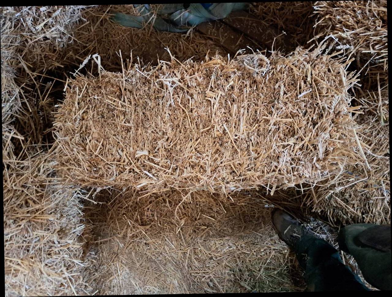 Stroh Kleine Strohballen kaufen