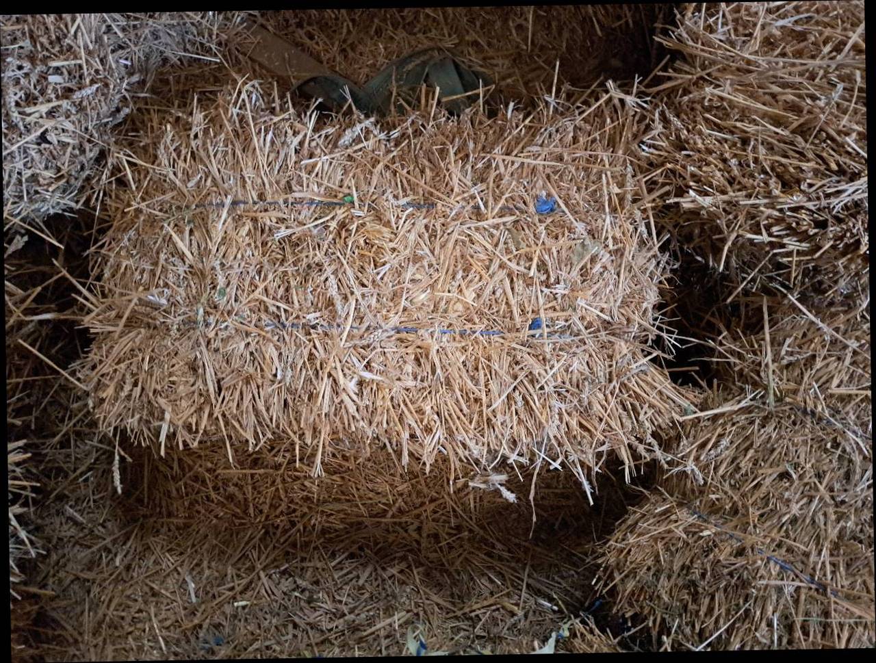 Stroh Kleine Strohballen kaufen