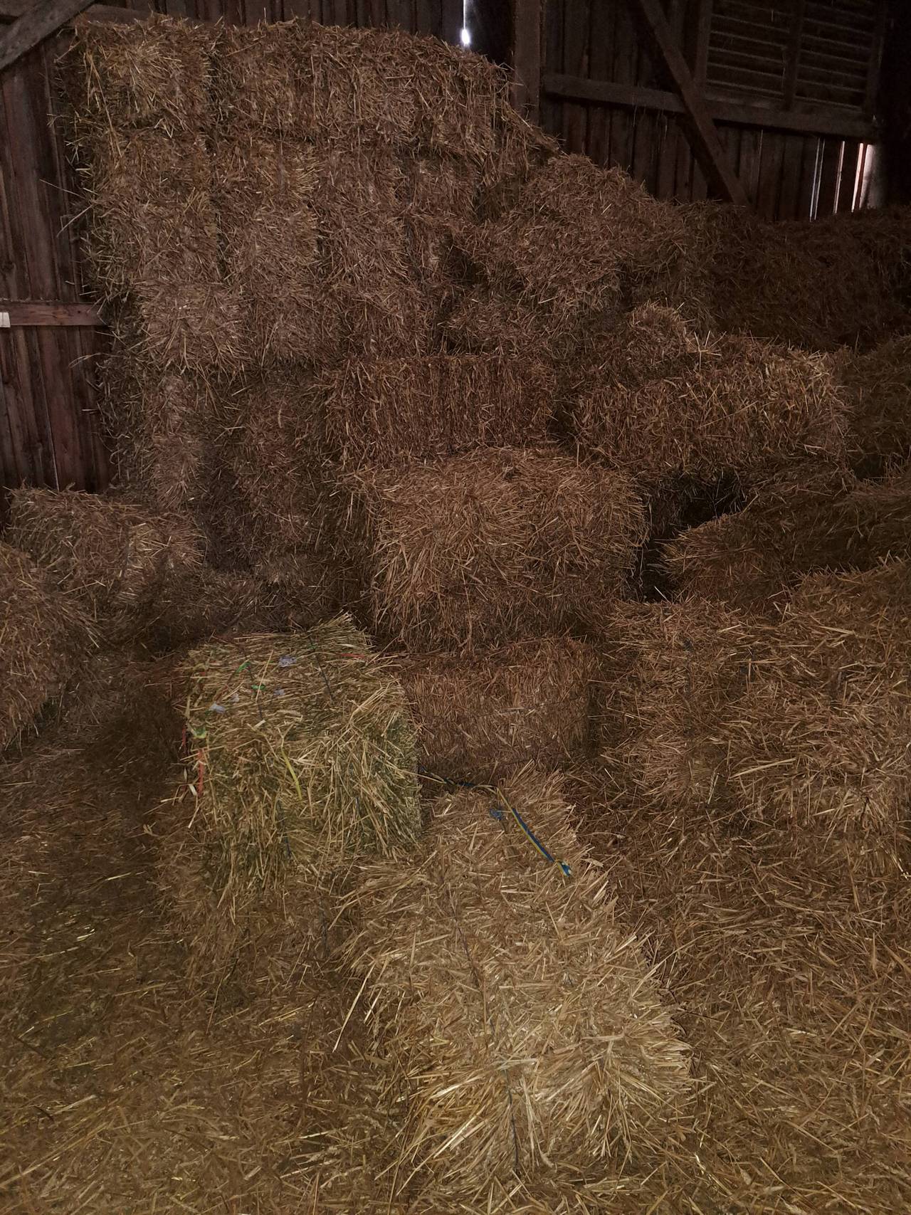 Stroh Kleine Strohballen kaufen
