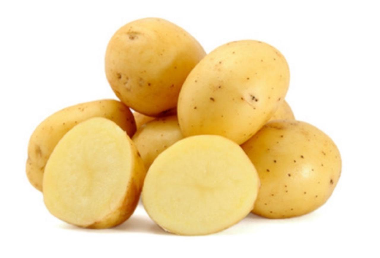 Waldviertler Bio Kartoffeln 1