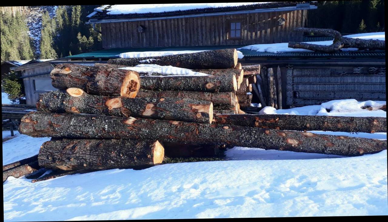 Baum Entrindet Kaufen