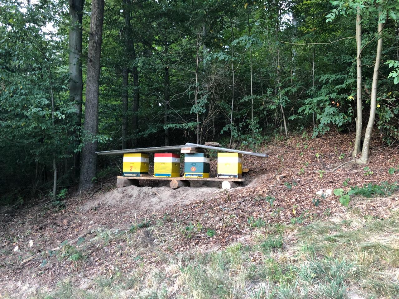 Bienen und Imkerei: Carnica Wirtschaftsvolk auf EHM kaufen - Landwirt.com