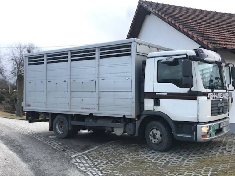 Gebrauchte LKW: Viehtransporter MAN TGL 10/210, Finkel Vollaufbau ...