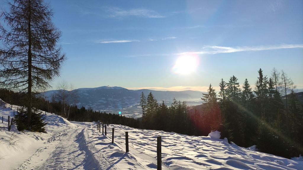 Sonstige Immobilien: Landwirtschaft auf Leibrente gesucht kaufen