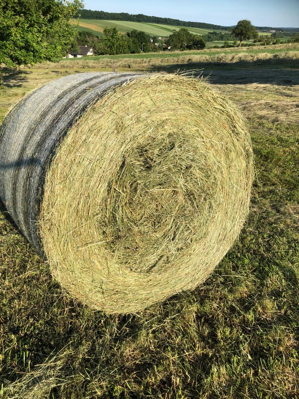 Bio - Heuballen 2