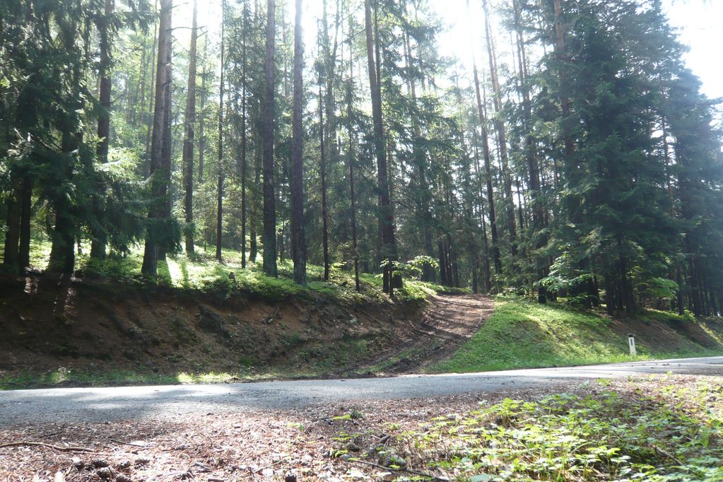 Wälder 4,1 ha Wald kaufen