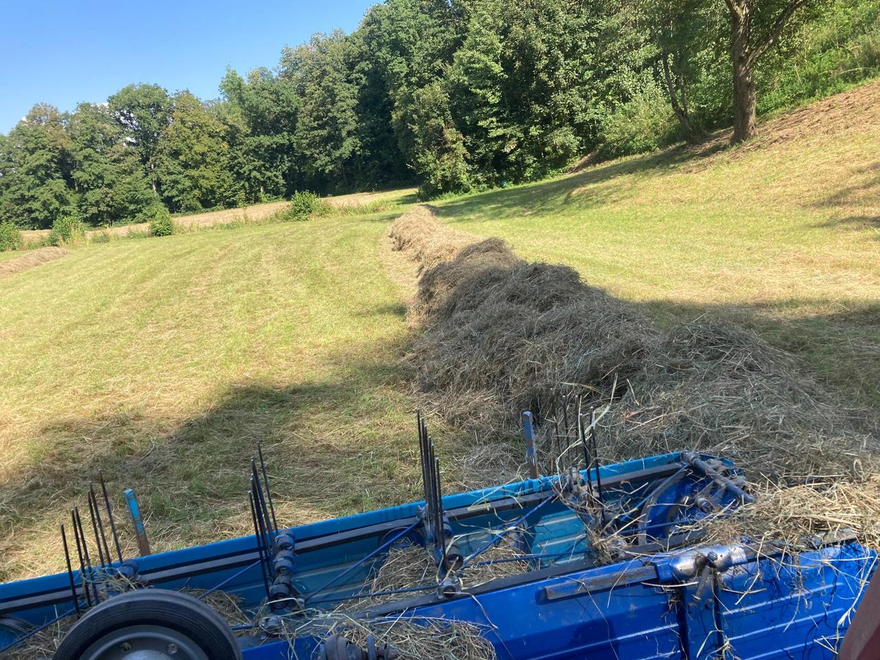 Biete Pferdeheu in Rundballen ab Ernte 2026 2