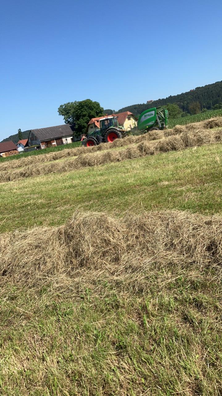 Heu, 1. Schnitt 2025 1
