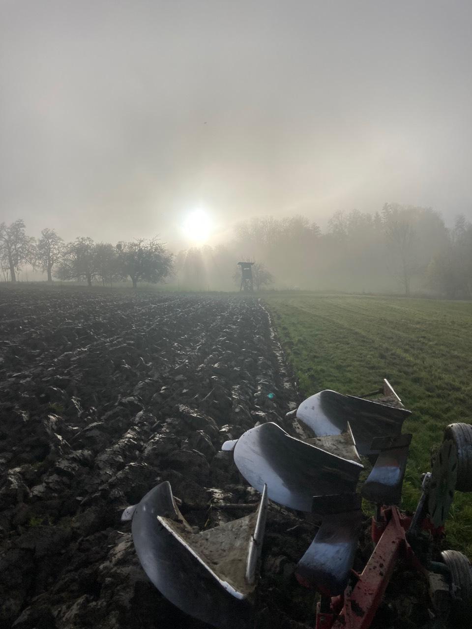 Pacht: Suche Pachtflächen kaufen - Landwirt.com