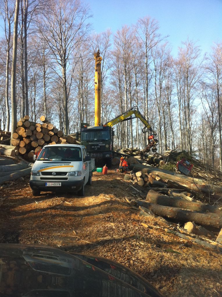 Seilkran bergauf/bergab PKM 10 Starkholzmaschine 2