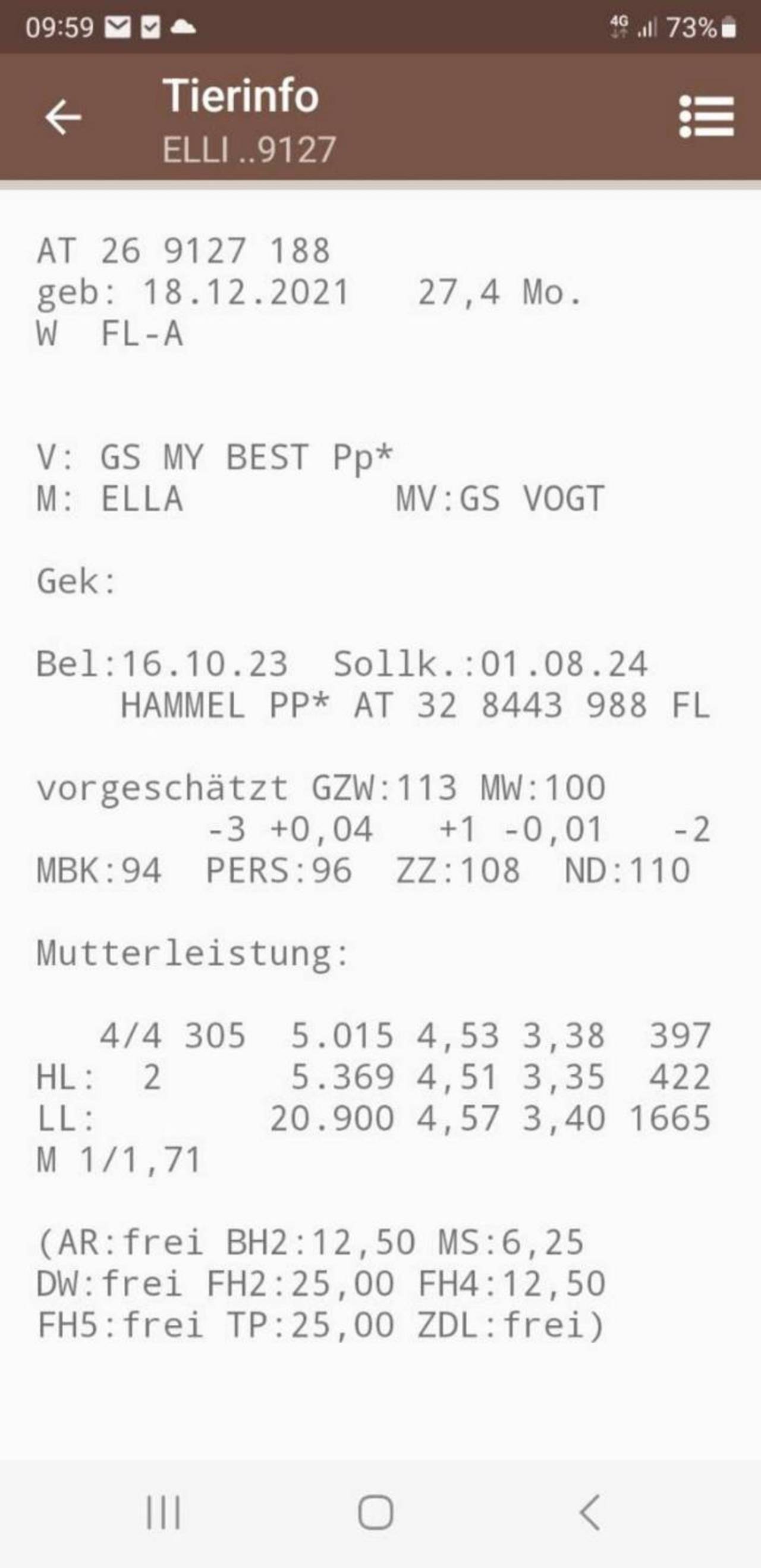 Fleckvieh Kalbinnen: BIO KALBIN TRÄCHTIG kaufen - Landwirt.com