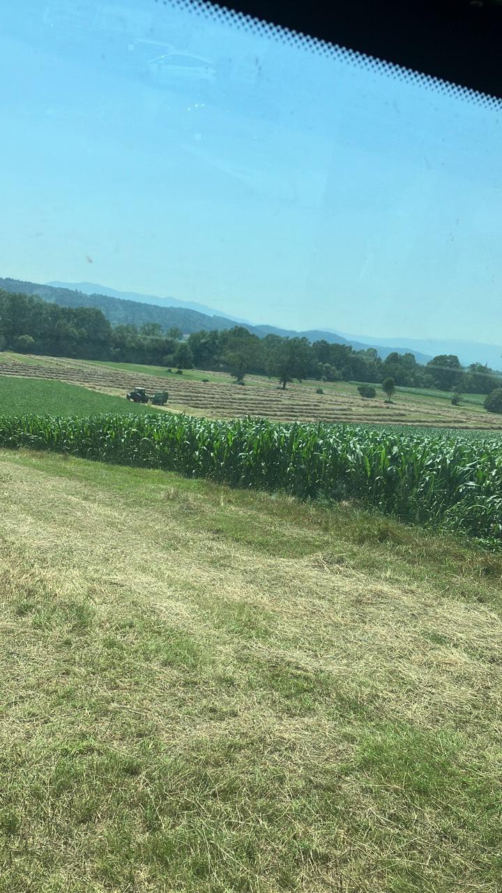 Heu, 1. Schnitt 2025 3