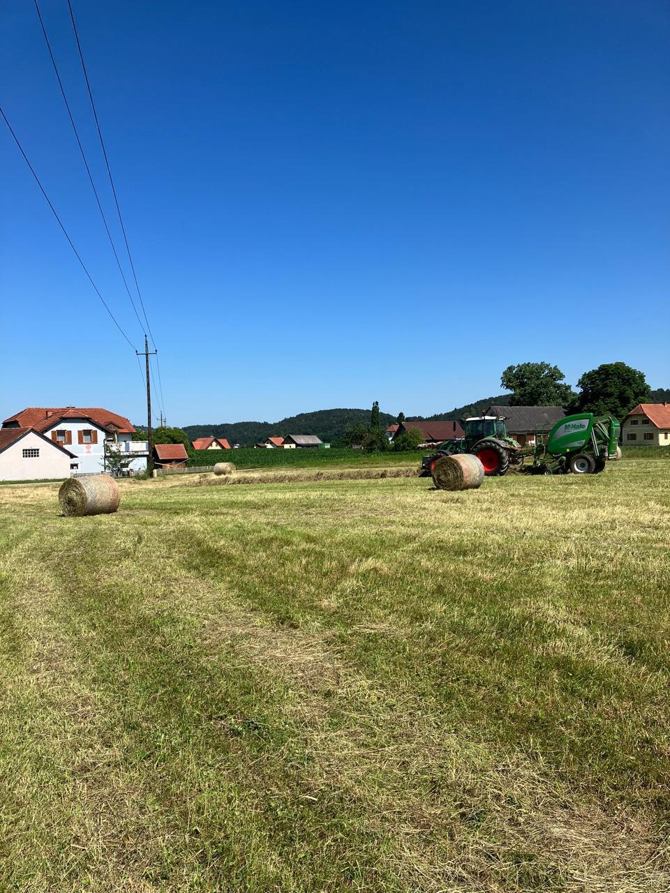 Heu, 1. Schnitt 2025 2