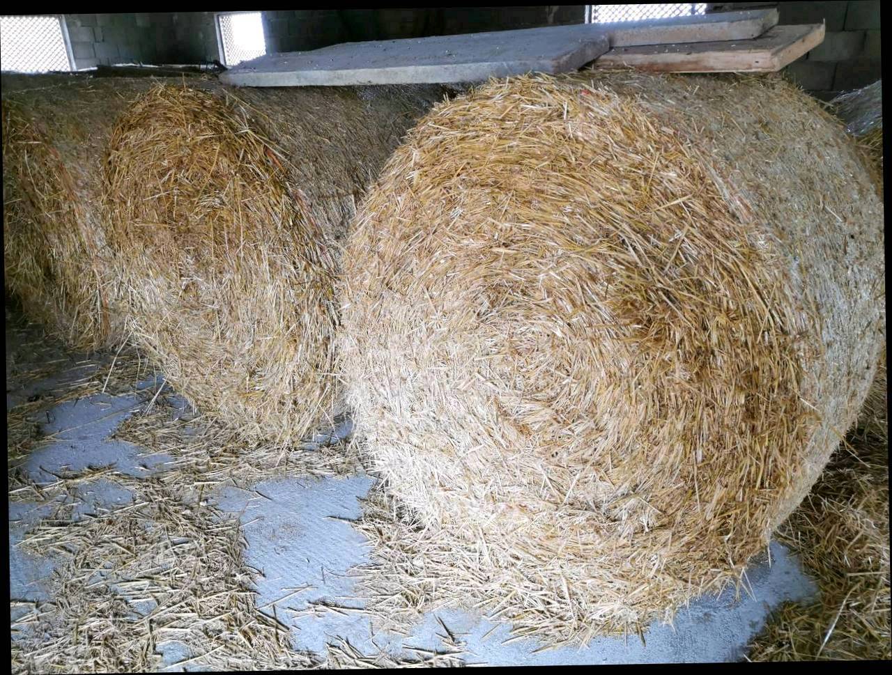 Stroh Stroh kaufen