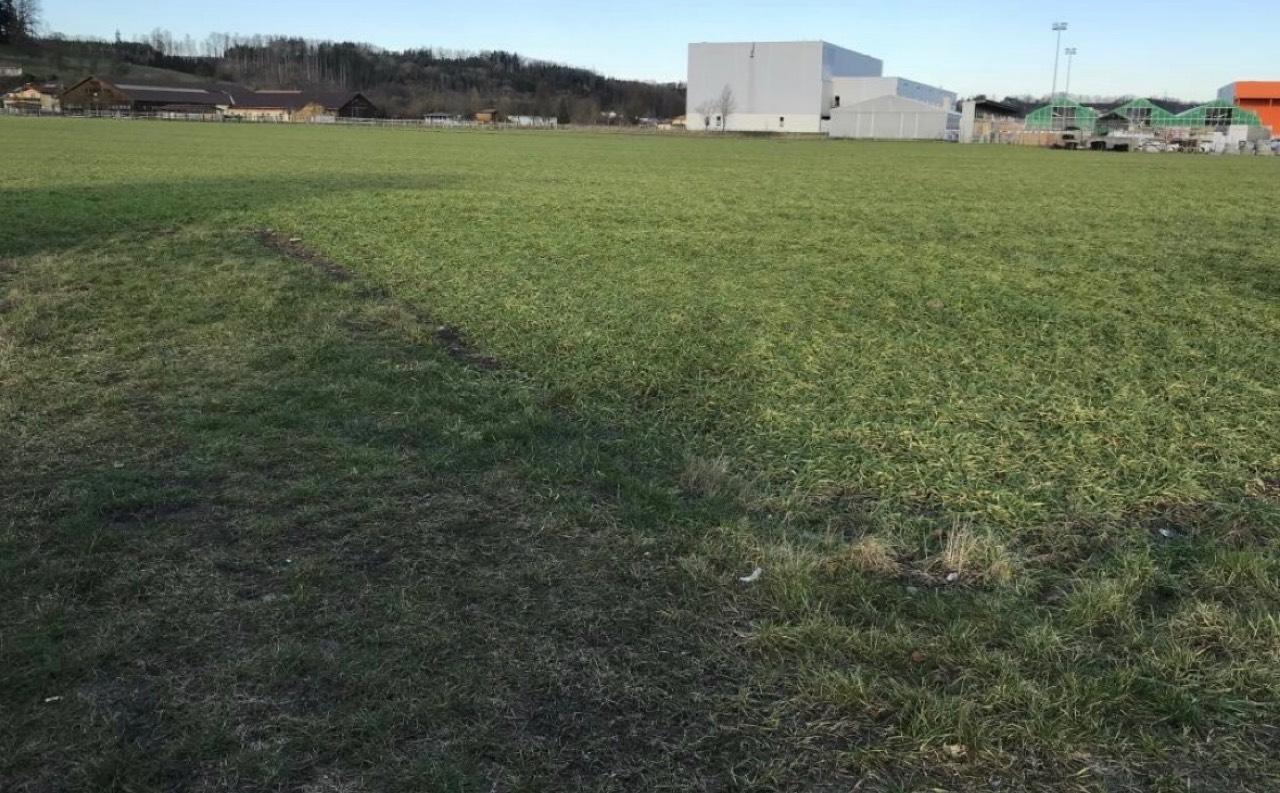 Grundstücke: Grundstück kaufen - Landwirt.com