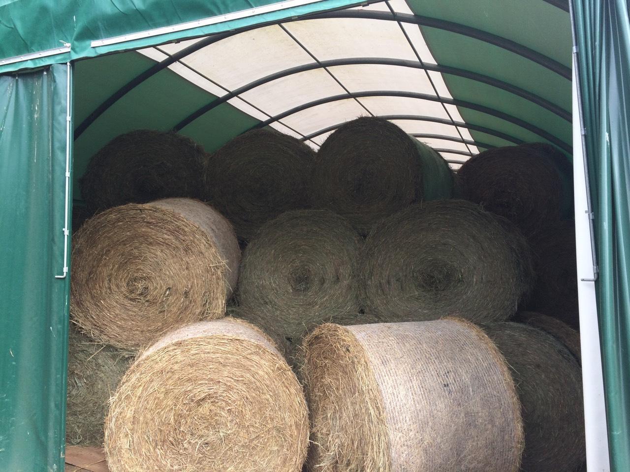 Heu Heu Rundballen kaufen