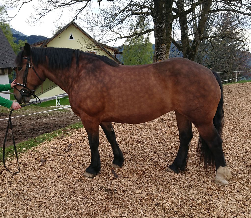 Schöne Blondine Braucht Einen Schwanz 3 Schöne Blondine Braucht Einen Schwanz 3