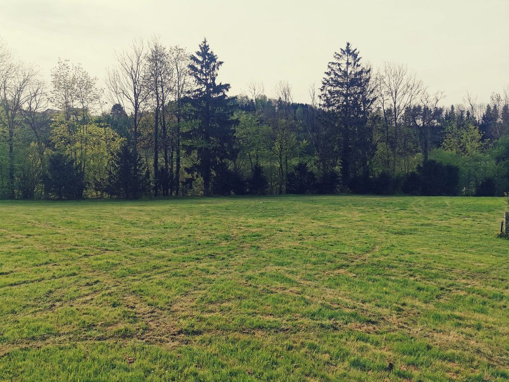 Pacht: Grundstück kaufen - Landwirt.com