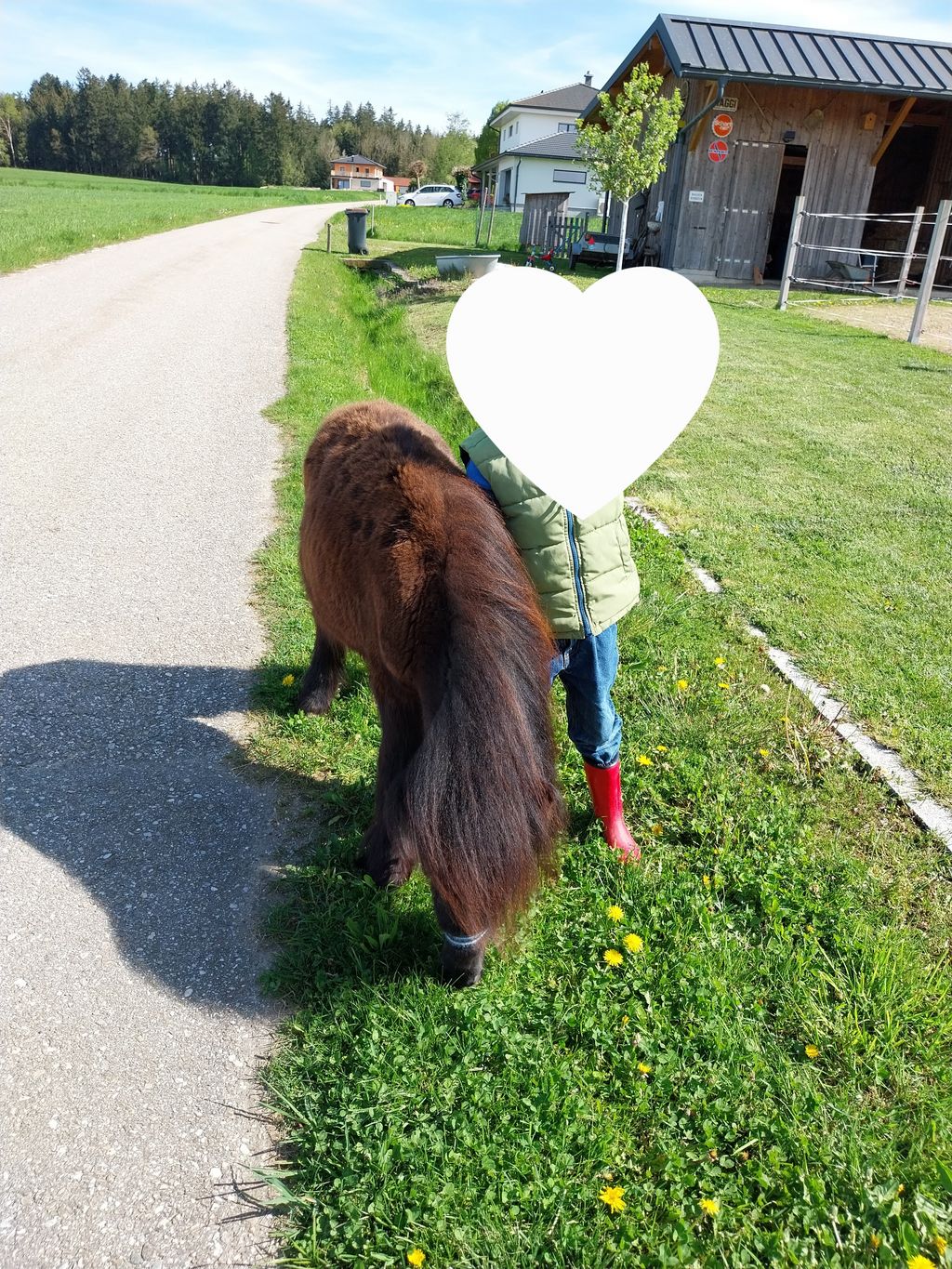 Pferdemarkt Pony: Pony Kaufen - Landwirt.com