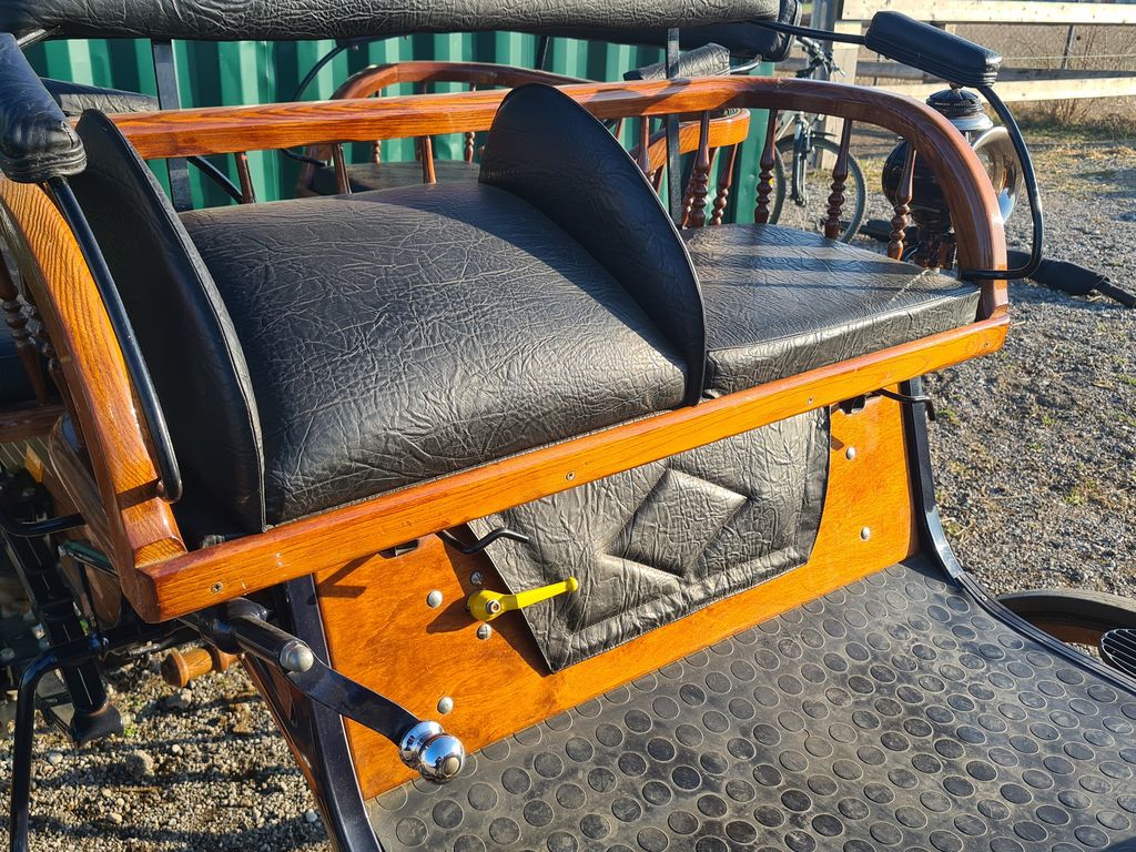 Pferdekutsche Original Linzer Wagonette ein-, zweispännig 2