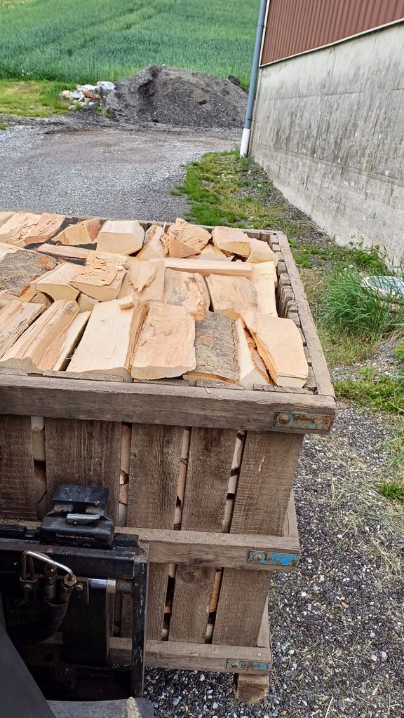 Brennholz geschnitten, trocken, je ehrlichen Raummeter 3