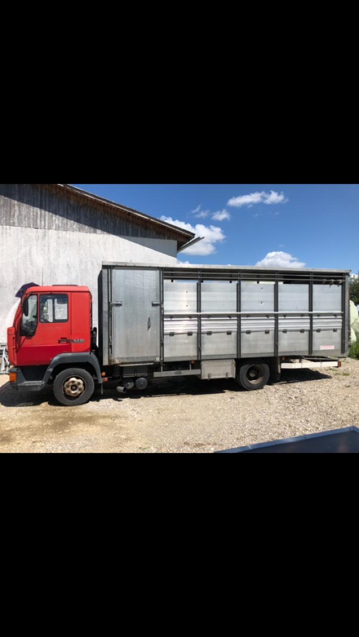 Gebrauchte LKW: Steyr Viehtransporter gebraucht kaufen - Landwirt.com