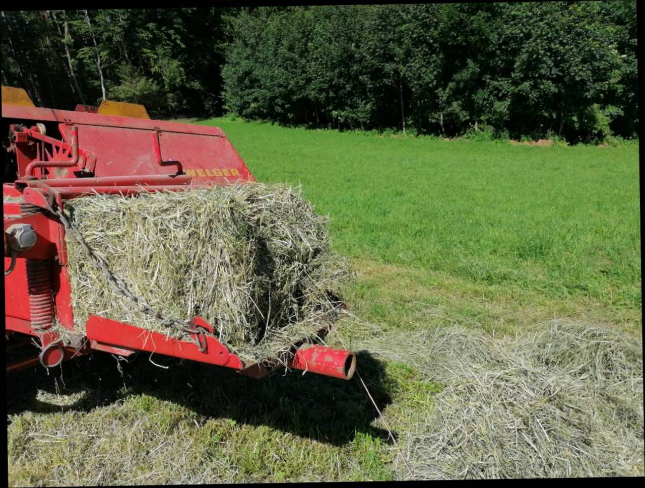 Ballenpressen: Welger AP 45 Gebraucht Kaufen - Landwirt.com