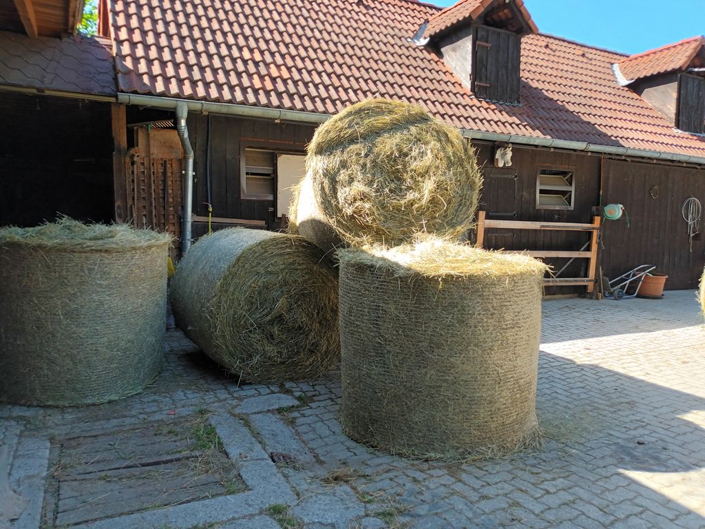 Heu: Heu zu verkaufen kaufen - Landwirt.com