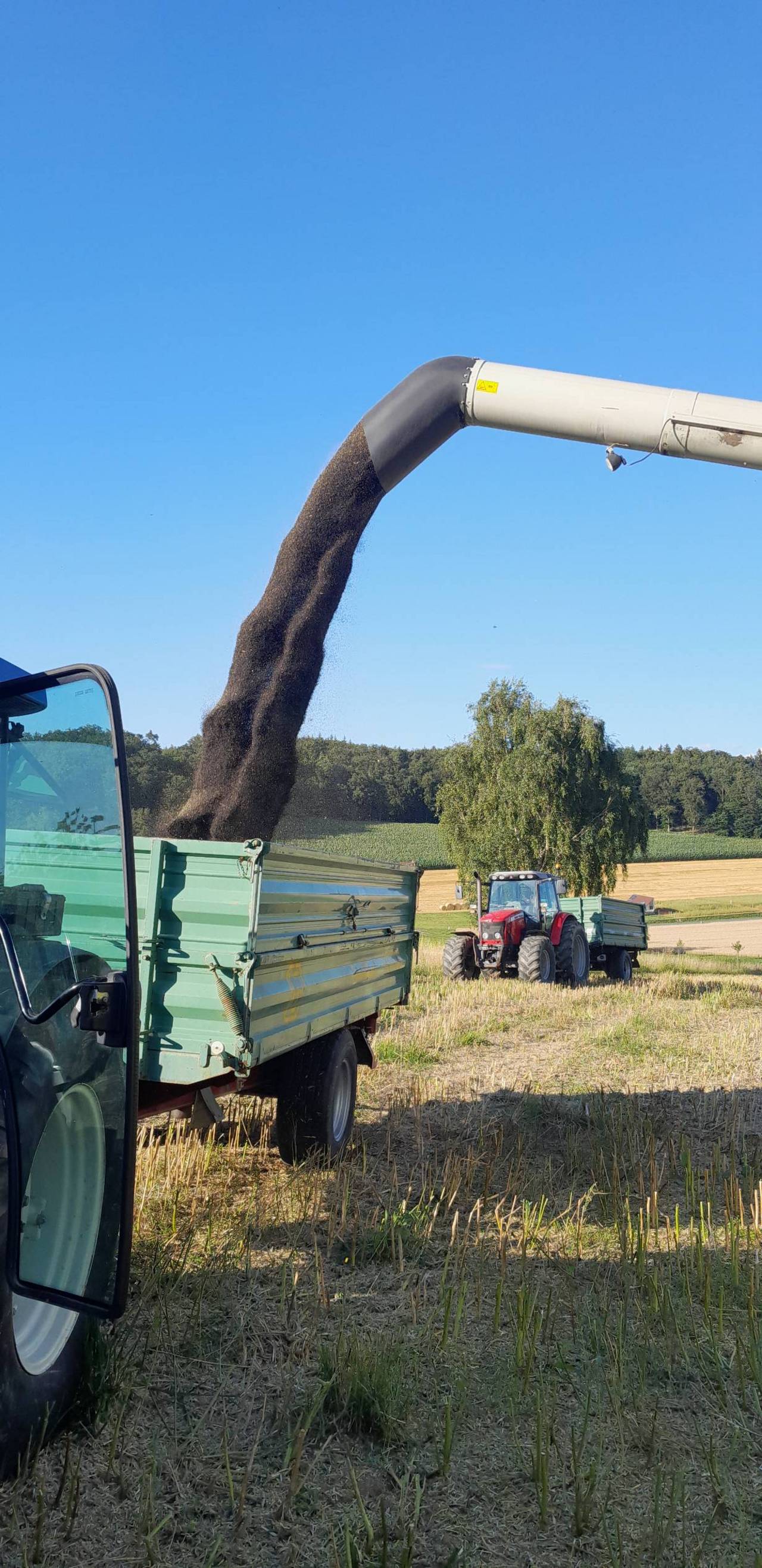 sonstige-futtermittel-raps-kaufen-landwirt