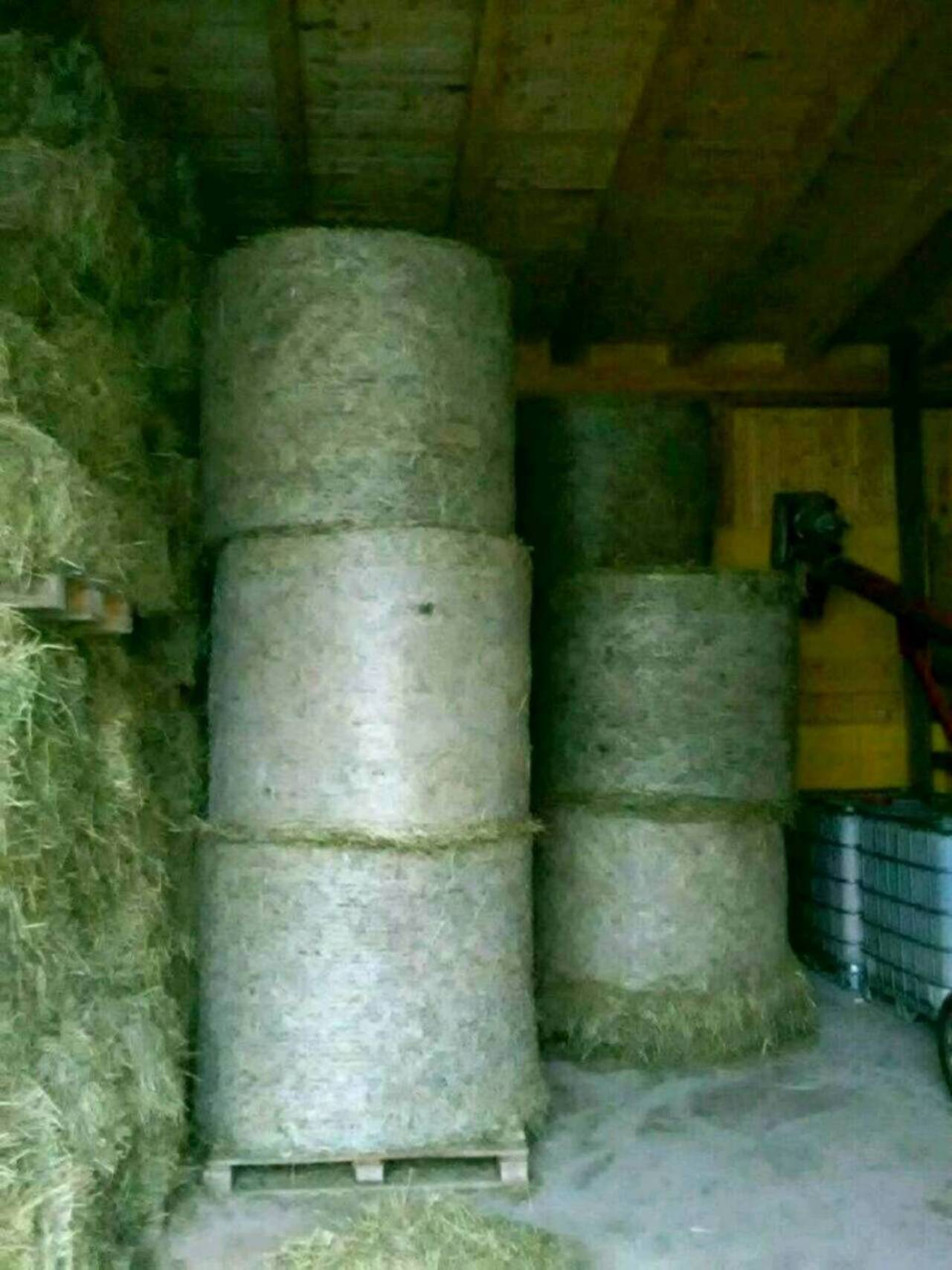 Heu Heu Rundballen kaufen