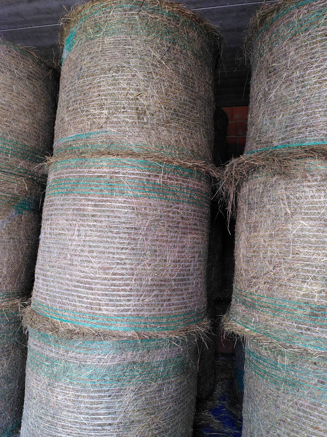 Belüftetes Bio Heu 2025 1