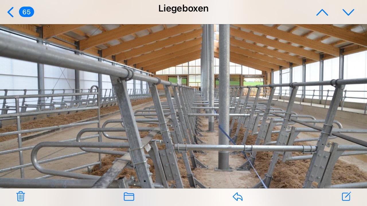 Liegeboxen BRÄUER SWING-COMFORT 2